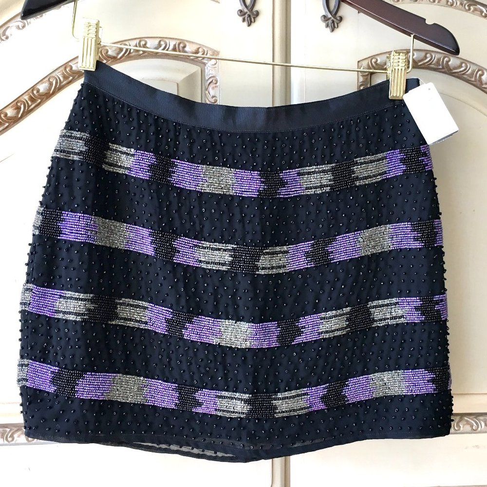 Gorgeous Gryphon Beaded Mini Skirt